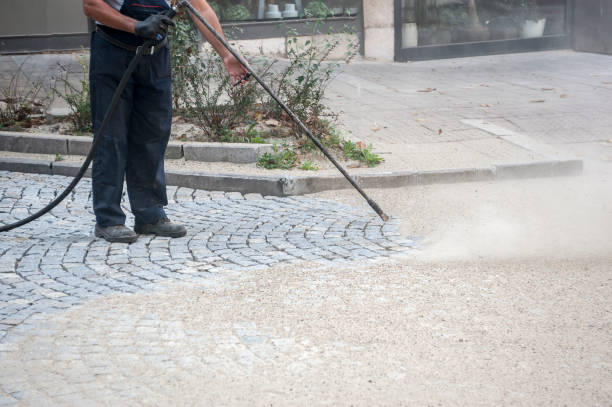Best Dumpster Area Cleaning  in West Monroe, MI