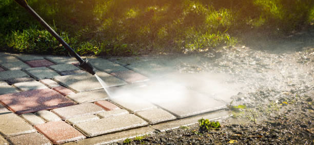 Best Sidewalk and Walkway Cleaning  in West Monroe, MI