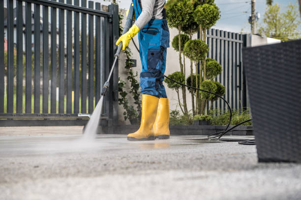 Best Fence Cleaning  in West Monroe, MI